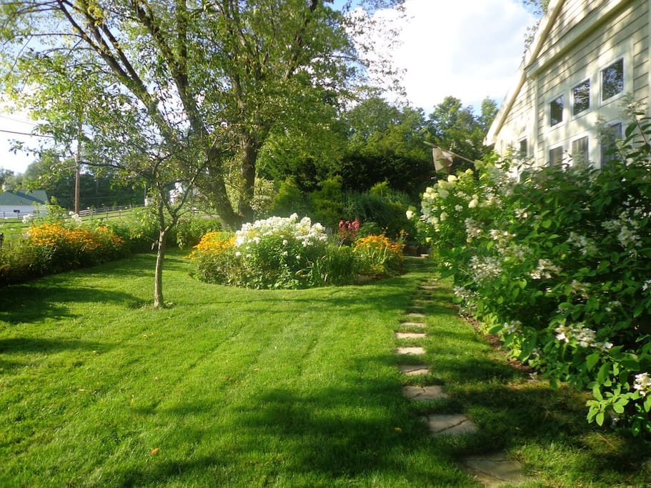 FRONT YARD