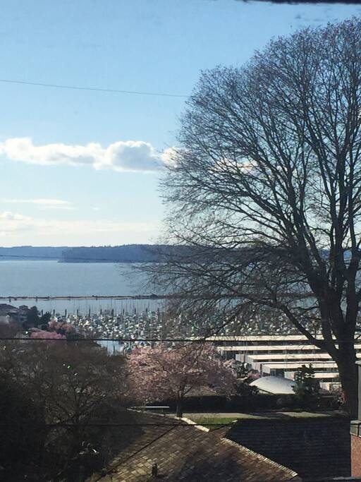 View from second and third floors....one of the biggest marina's in north america, Everett Marina