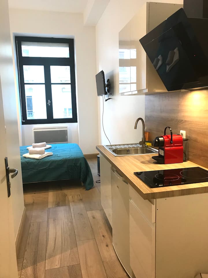 Lyon Vacation Rentals House and Apartment Rentals Airbnb
