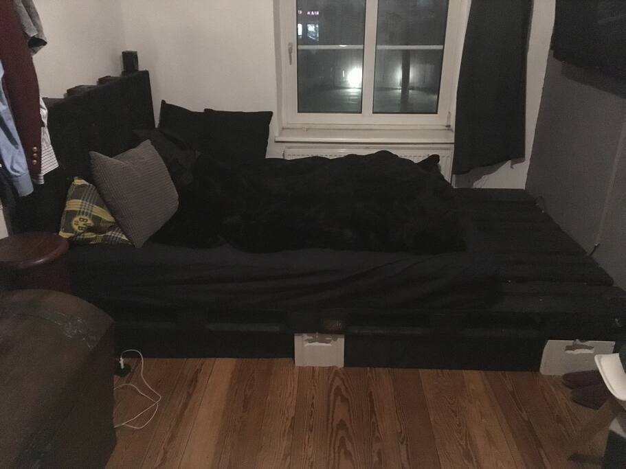 bed