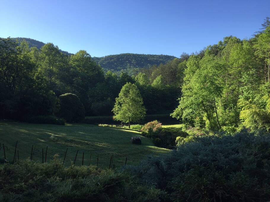 View from front porch.