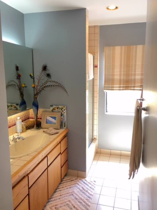 full bath. shower + tub! nice big vanity with lots of light & mirrors.