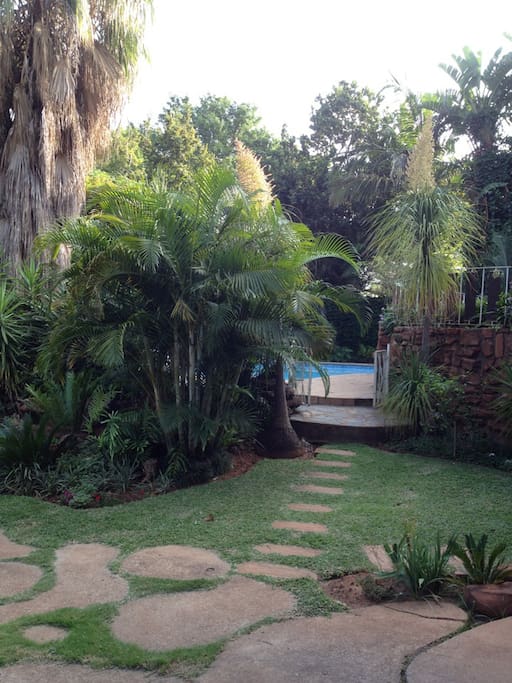 Garden/Pool