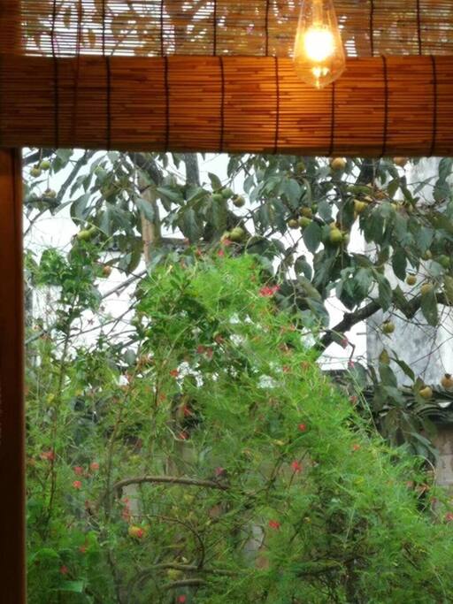独立的大空间茶室
