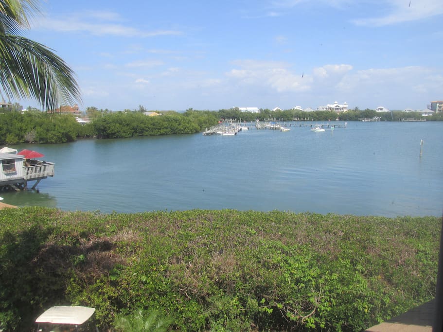 Great views of Safety Harbor!