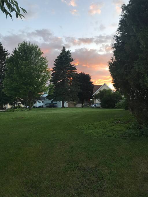 Large Yard