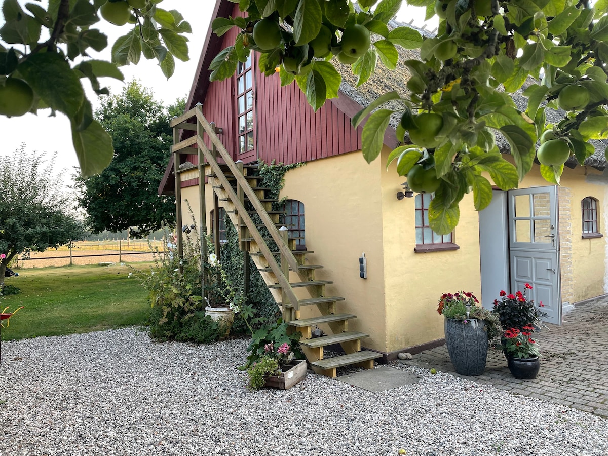 An exterior view of a charming building featuring a yellow facade and a thatched roof. Stairs lead to the entrance on the upper level, surrounded by greenery and potted flowers. A gravel path and grassy areas add to the inviting outdoor space.