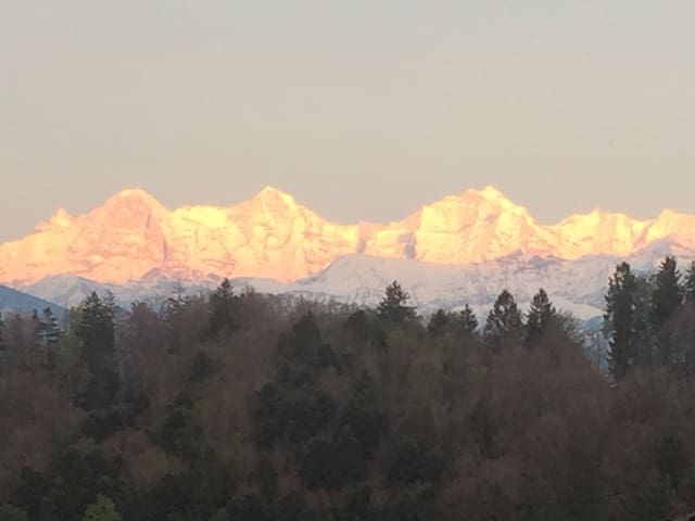 Room with balcony/mountain panorama/breakfast