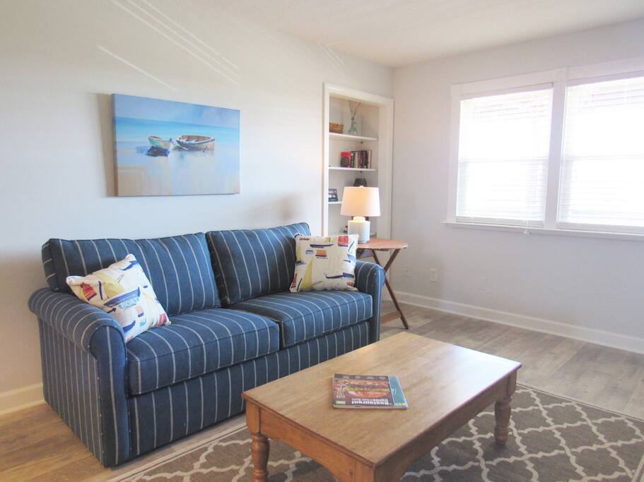 New & comfortable queen size pull out couch