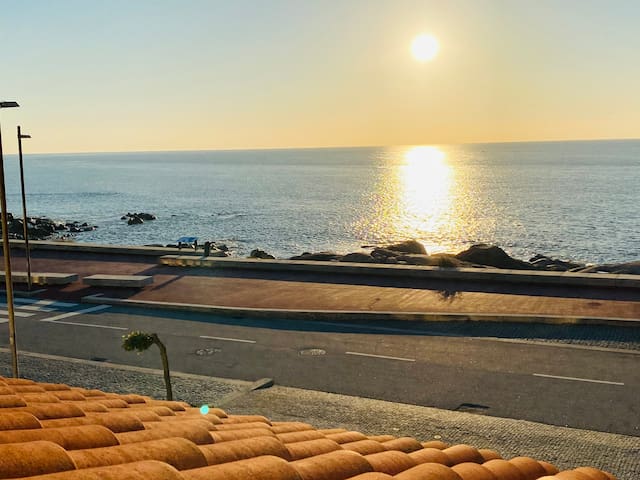 The Ocean Experience Porto