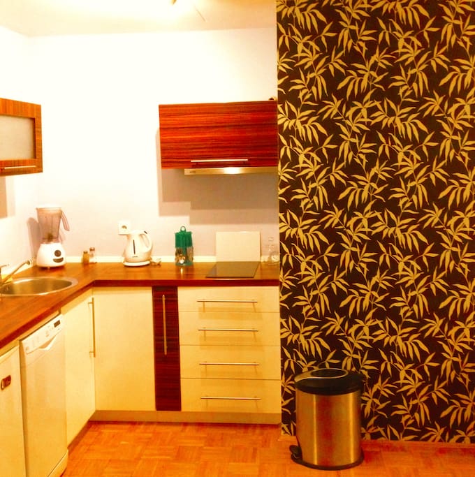 Designed kitchen with the cooking area, microwave oven, exhaust hood, dish washer, fridge, and all necessary utensils. As well with kettle, blender...