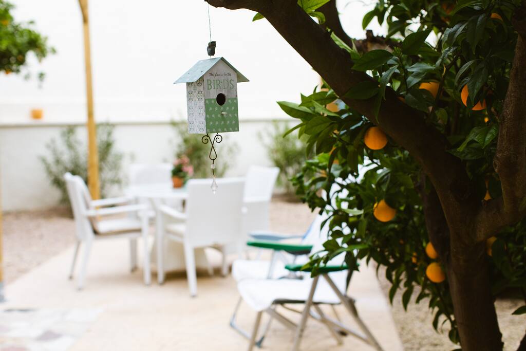 Terraza privada