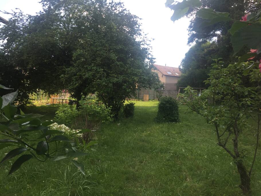 Garden. Perfect for evening meals