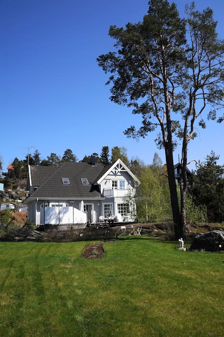 House from the garden (during spring)