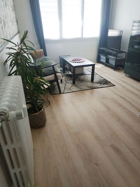Successful Airbnb property: Lorient Centre Apartment in Lorient