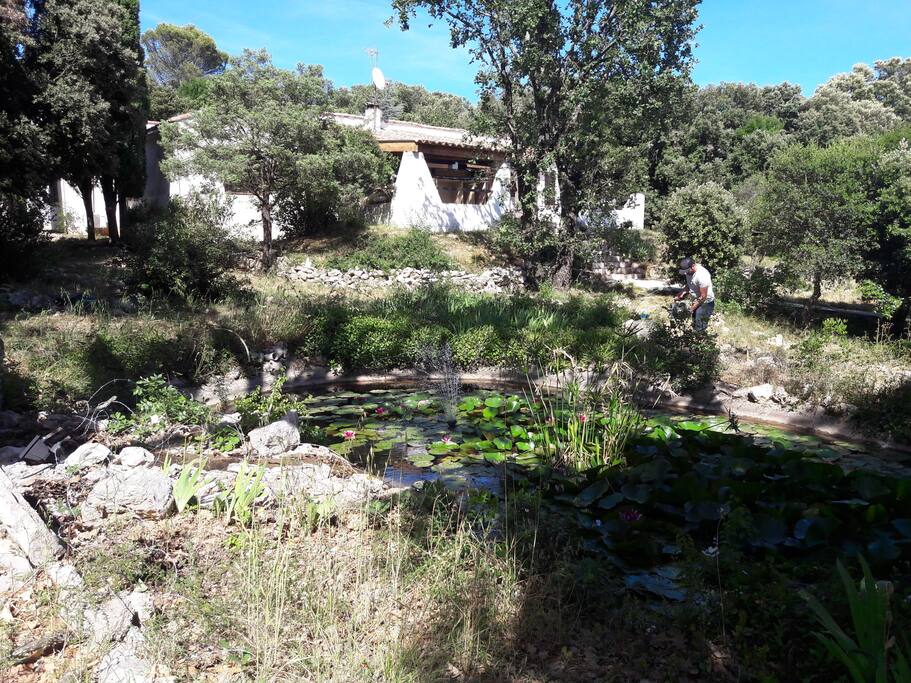 VUE DU BASSIN A POISSONS ROUGES