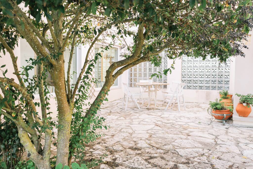 Pequeño rincón del patio de entrada.