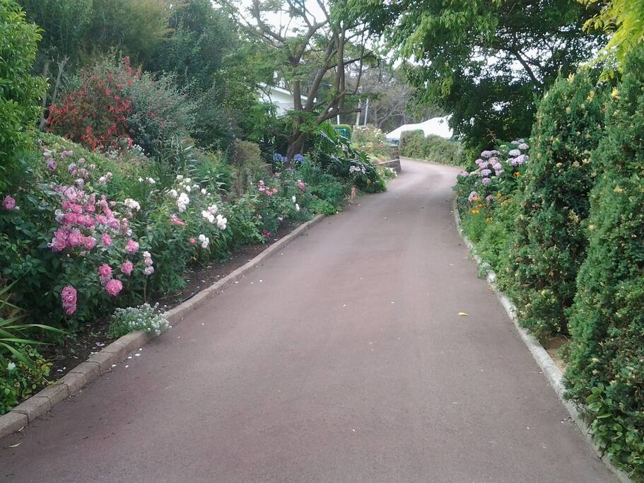driveway private access only safe for children no drive thru traffic