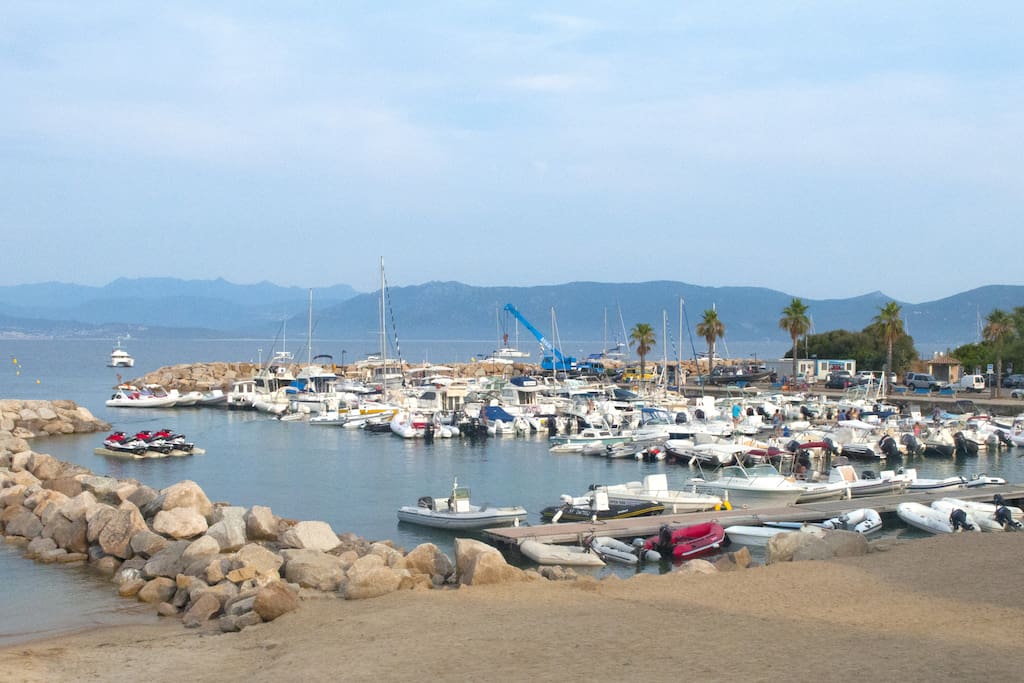 Le port de Porto-Pollo