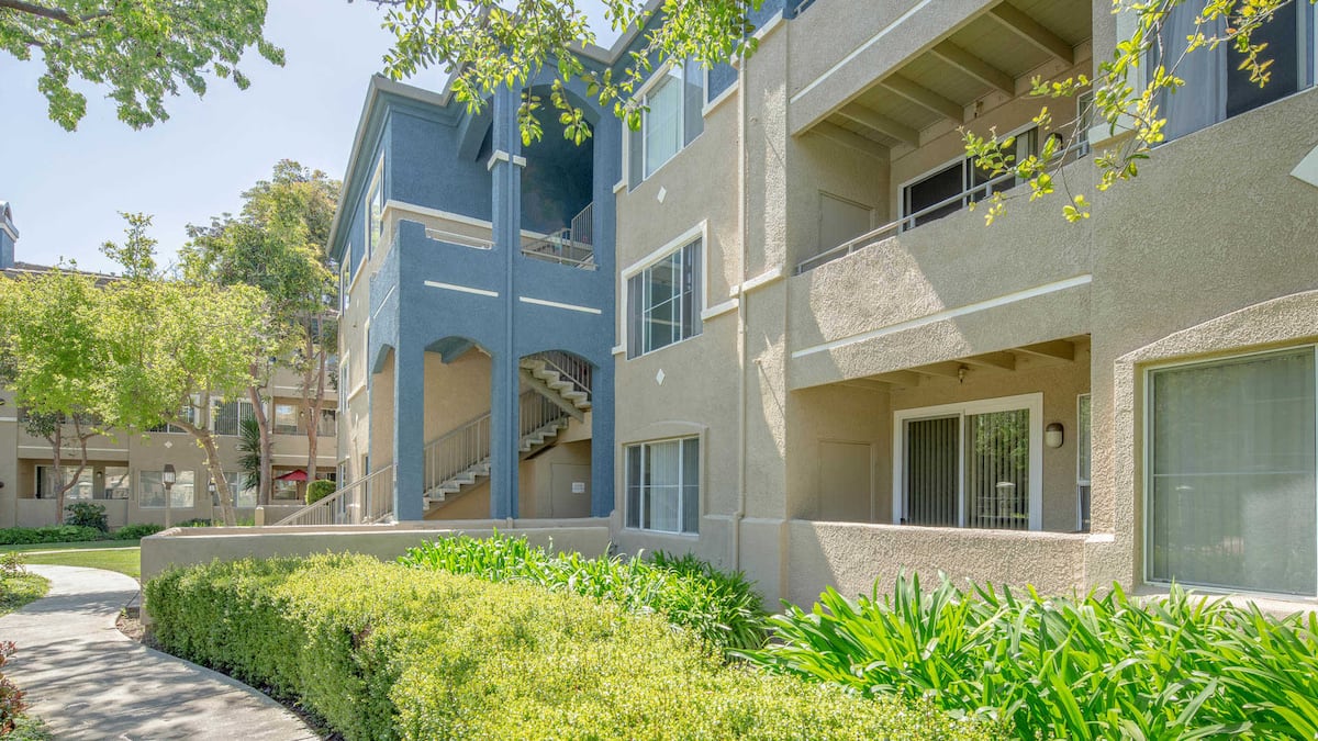 RGVtYW5kUGljdHVyZToxOTUxNTk4ODE0