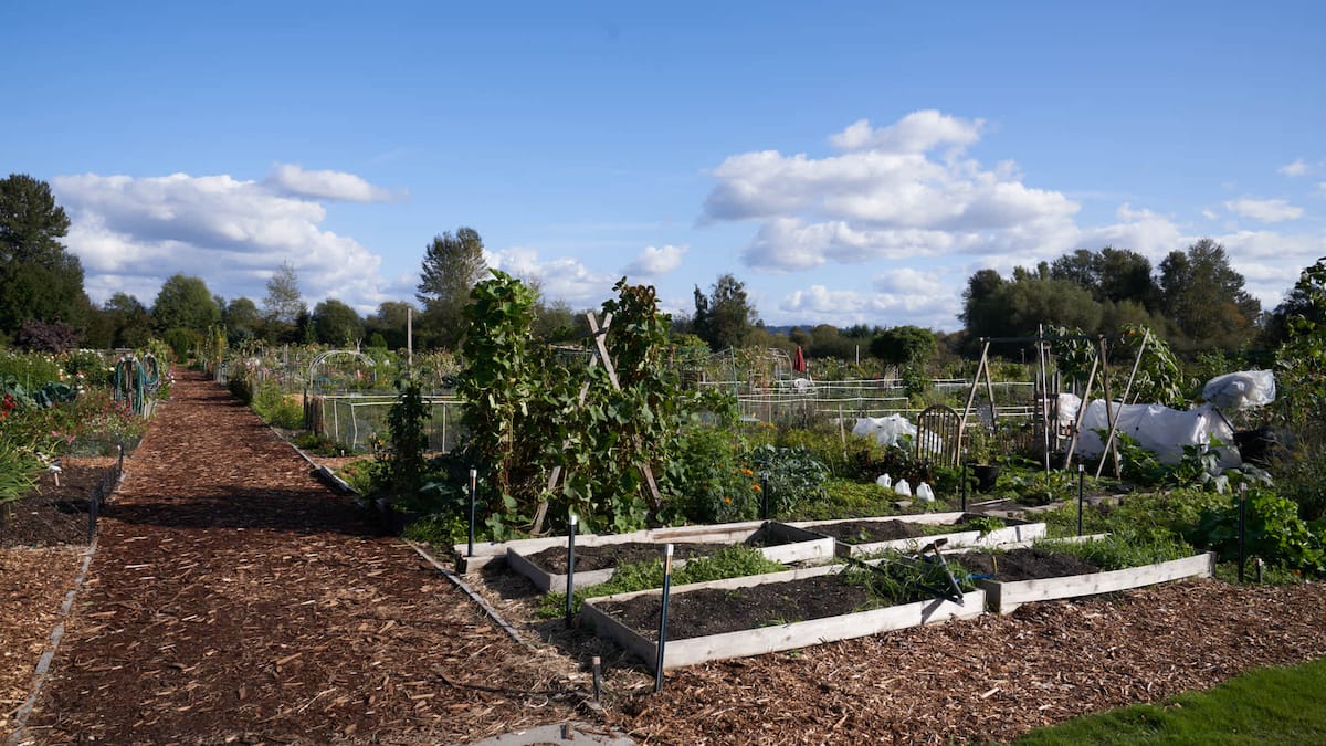 RGVtYW5kUGljdHVyZToxOTUxOTgwMzE0