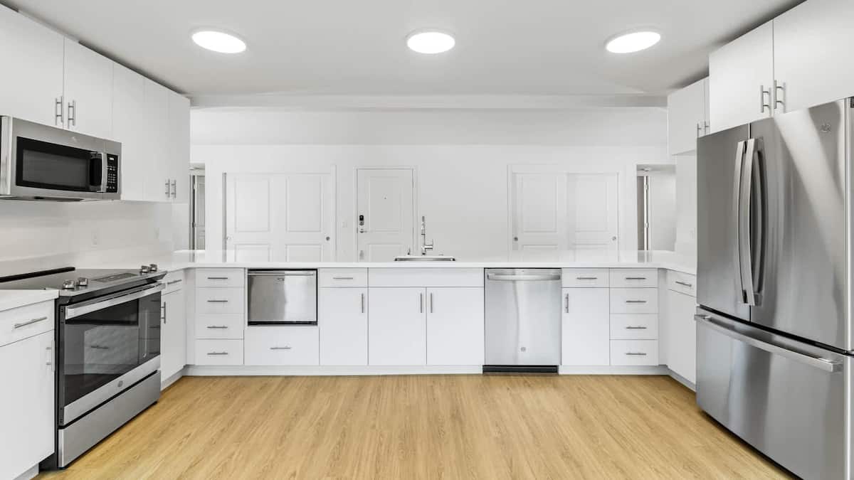 RGVtYW5kUGljdHVyZToxOTUxNTk1NTAw