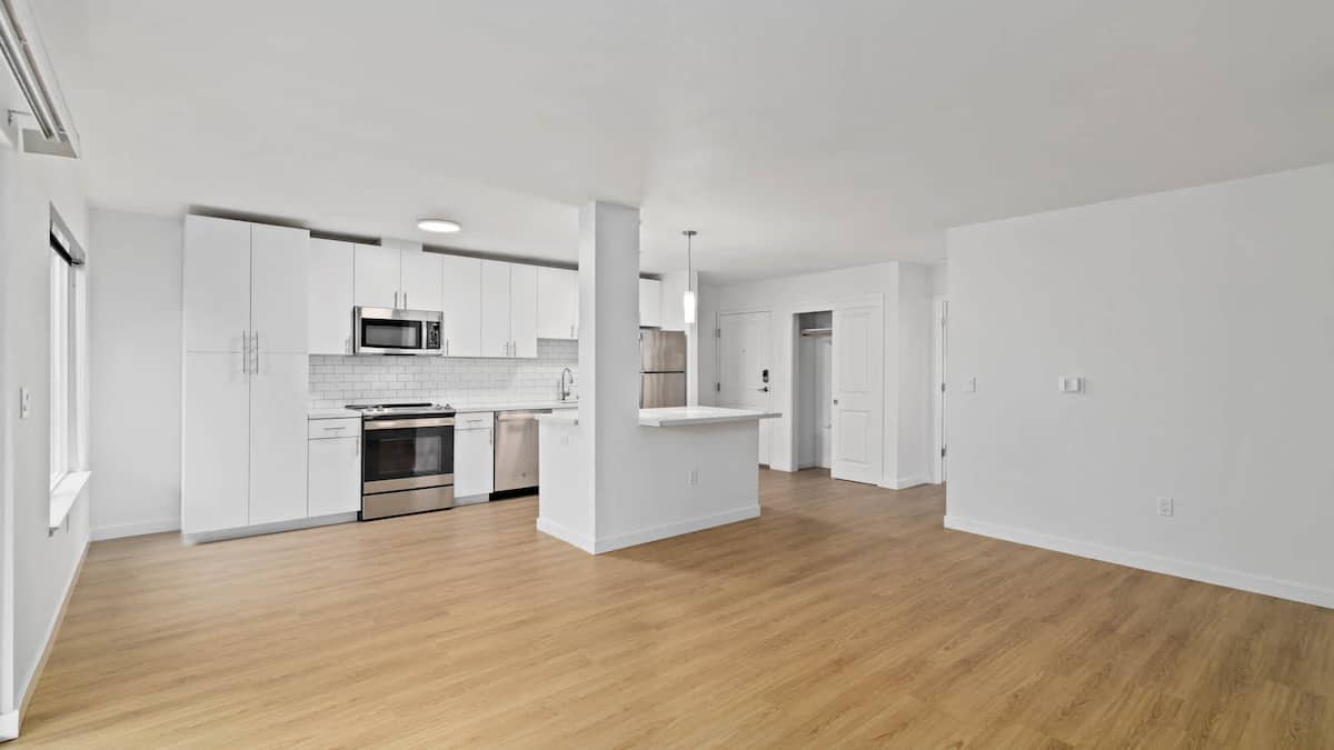 RGVtYW5kUGljdHVyZToxOTUxNTk1NDk5