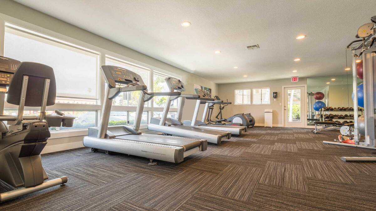 Earn with Airbnbfriendly apartments in Silicon Valley Airbnb