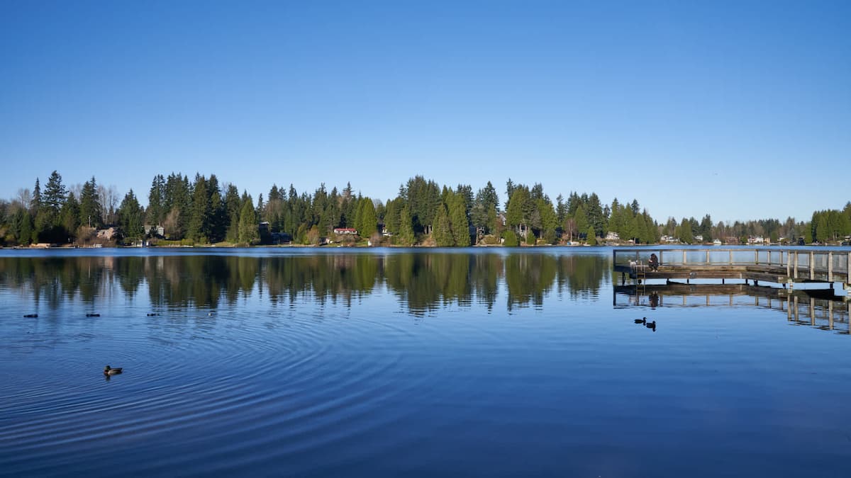 RGVtYW5kUGljdHVyZToxOTQzMTgxMDk0