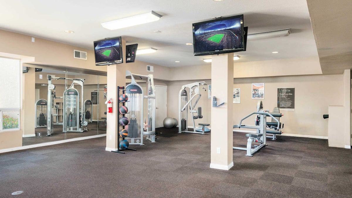 RGVtYW5kUGljdHVyZToxOTQzMTc5NjUw