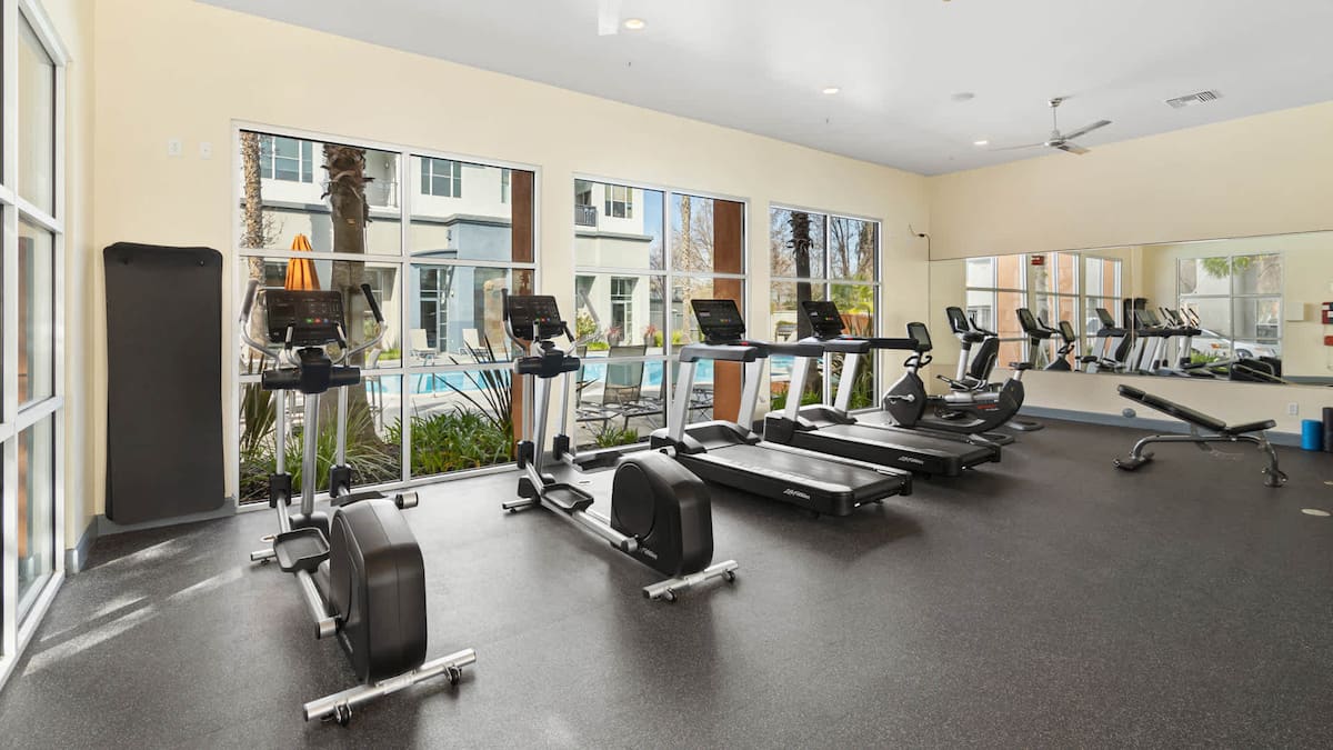 RGVtYW5kUGljdHVyZToxOTQzMTgyNTYy