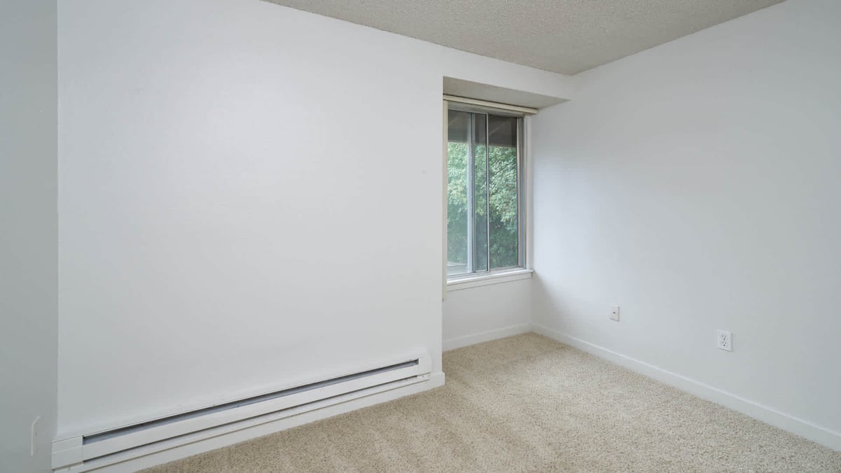 RGVtYW5kUGljdHVyZToxOTUxNTk2NTIz