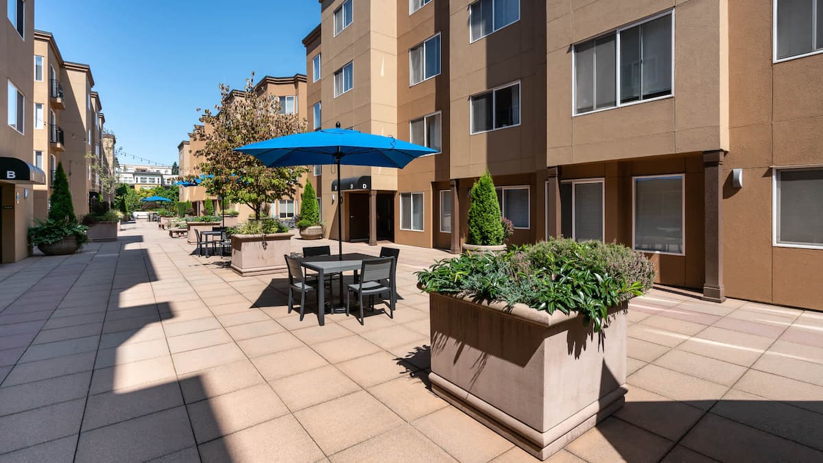 RGVtYW5kUGljdHVyZToxOTUxNTk3MzQ0