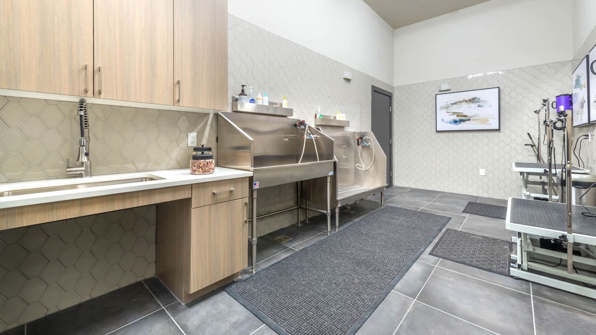 RGVtYW5kUGljdHVyZToxOTUxNTk2Mzg0