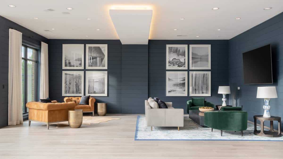 RGVtYW5kUGljdHVyZToxOTc1MTYxNjQ3