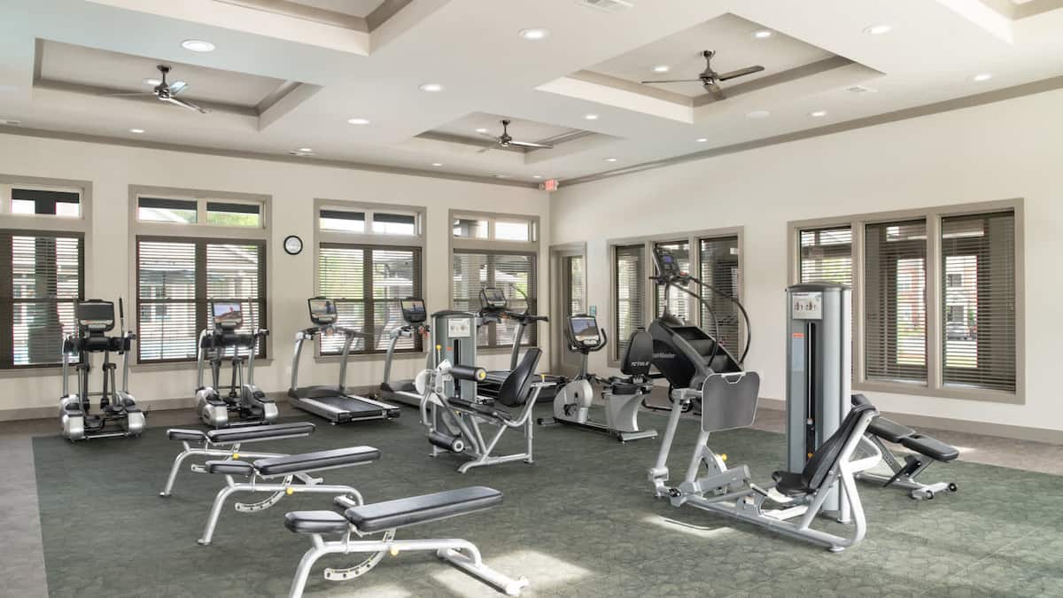 RGVtYW5kUGljdHVyZToxOTc1MTYyMDk1