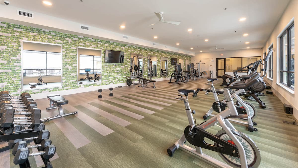 RGVtYW5kUGljdHVyZToyMTIzNjU2NjY4