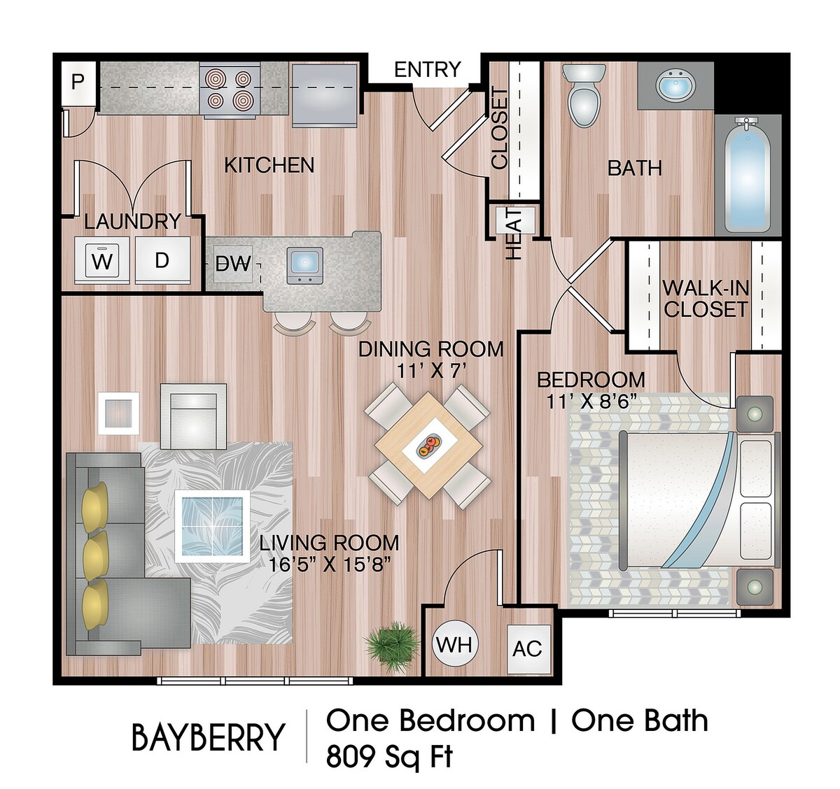 Floorplan diagram for Bayberry, showing 1 bedroom