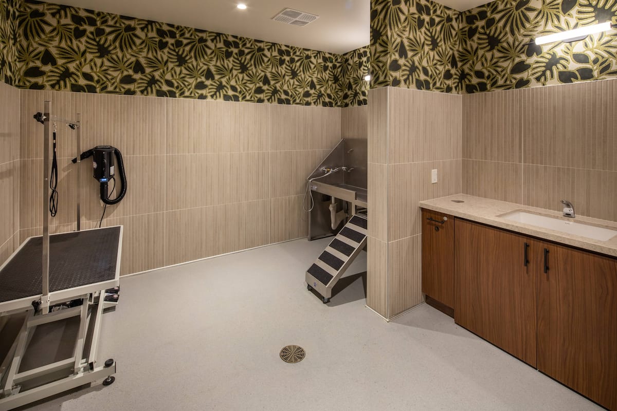 RGVtYW5kUGljdHVyZToyMDMzNDcwOTk4