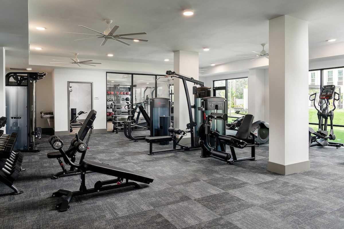 RGVtYW5kUGljdHVyZToyMzI0MDc4Nzg1