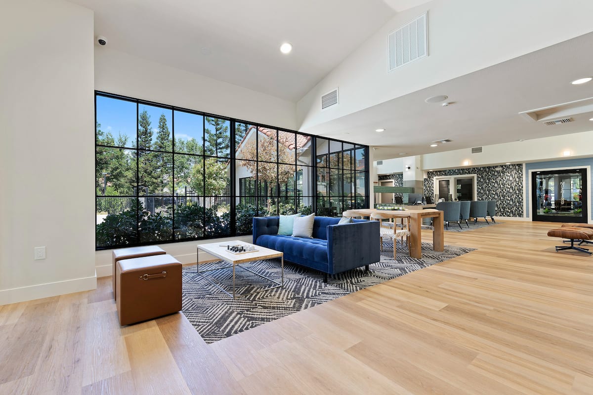 RGVtYW5kUGljdHVyZToyMDg3MTYwNjk5