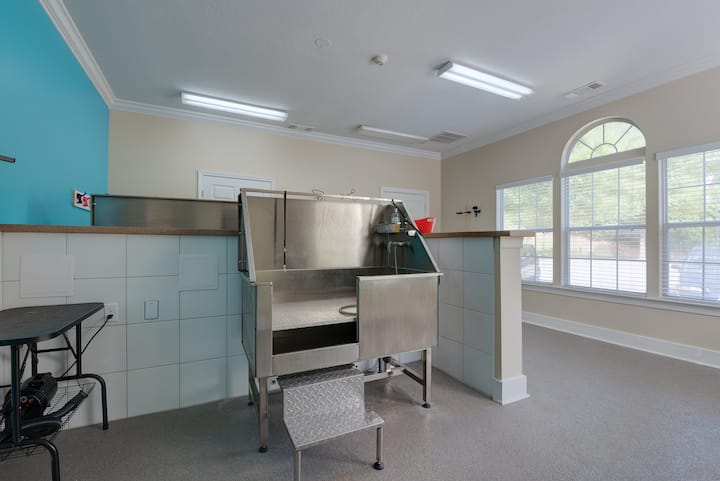 RGVtYW5kUGljdHVyZToyMzgxNDM3NDY0