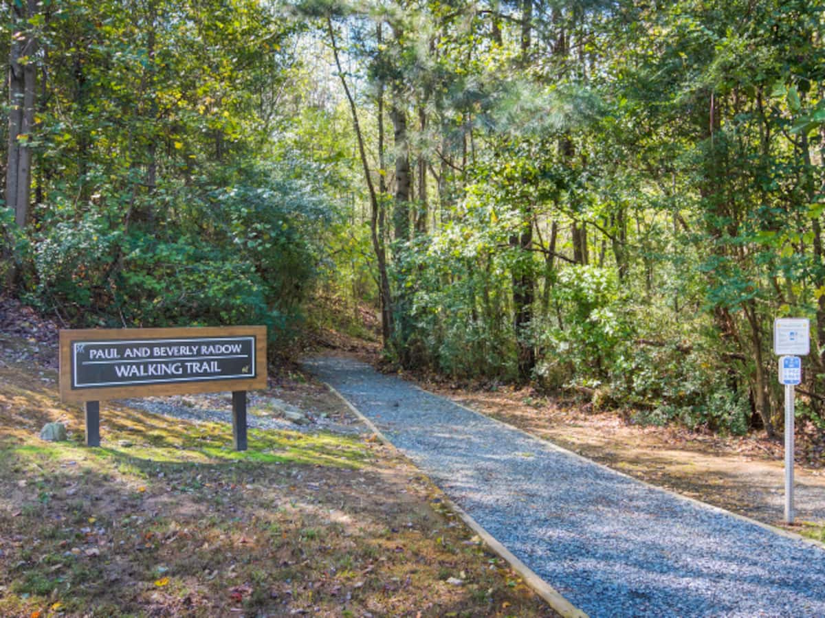 RGVtYW5kUGljdHVyZToxOTQzMjA2OTM4