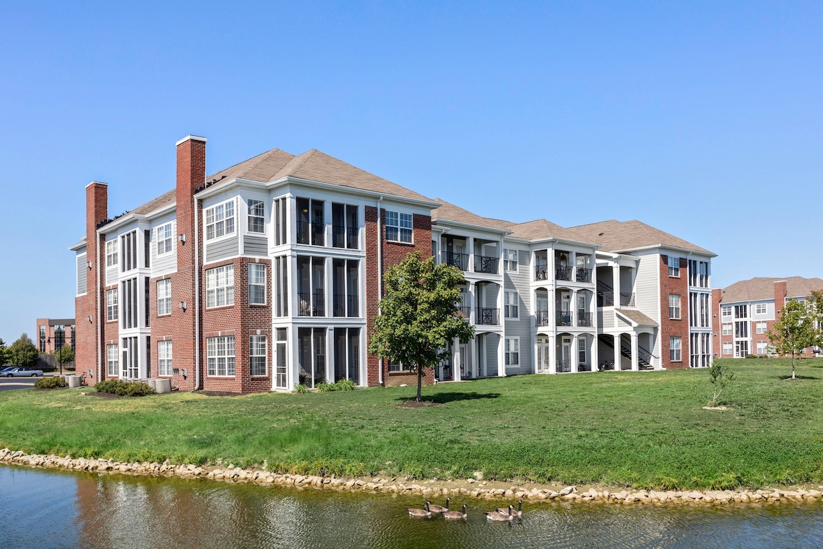 Lake Front Area