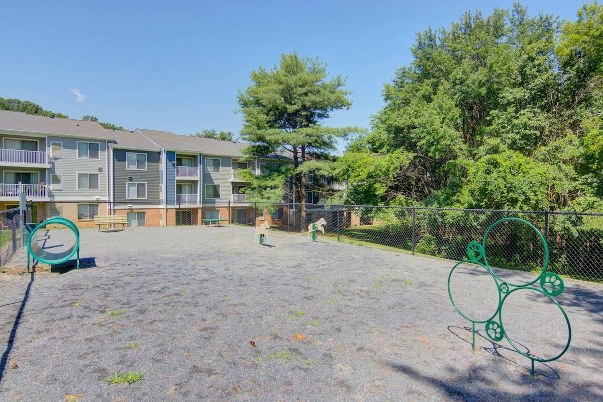 RGVtYW5kUGljdHVyZToxOTUxNjQ2NDY0