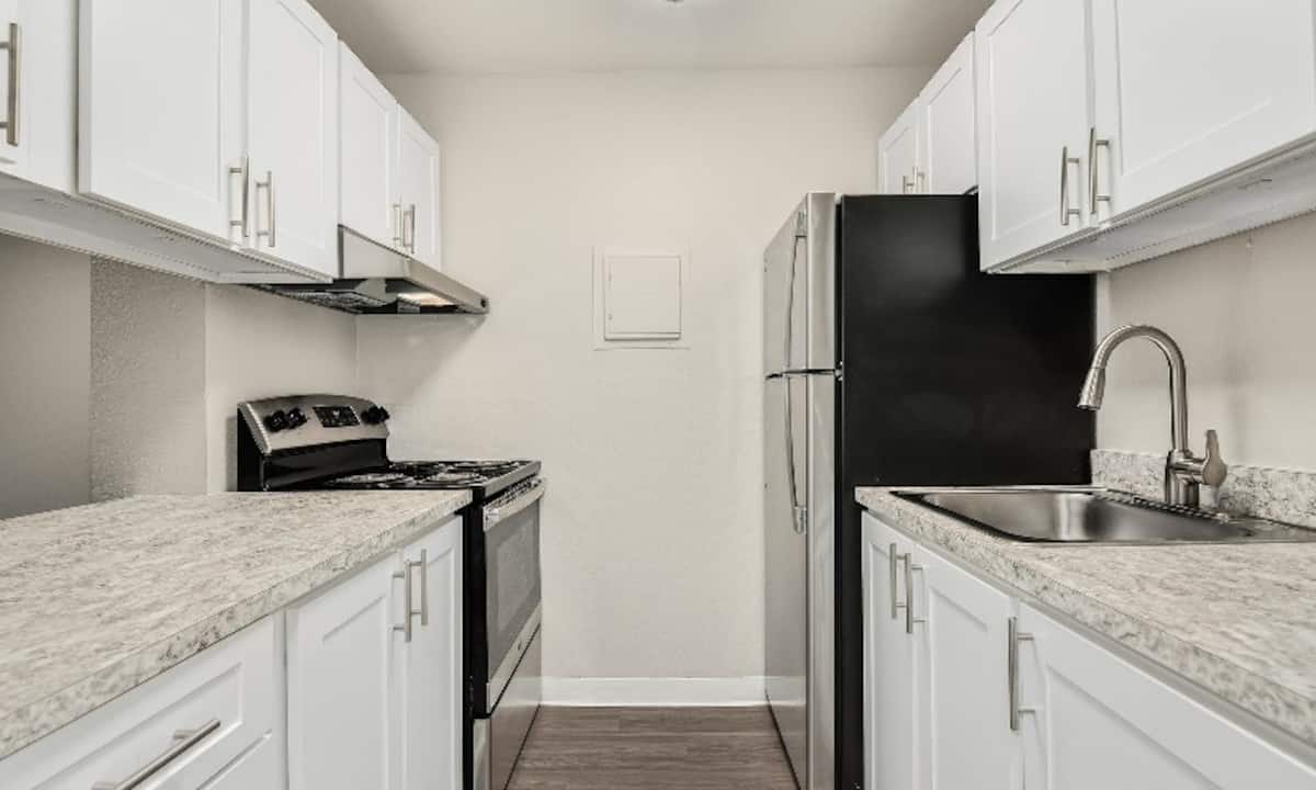 RGVtYW5kUGljdHVyZToxOTUxNjQ3NDI2