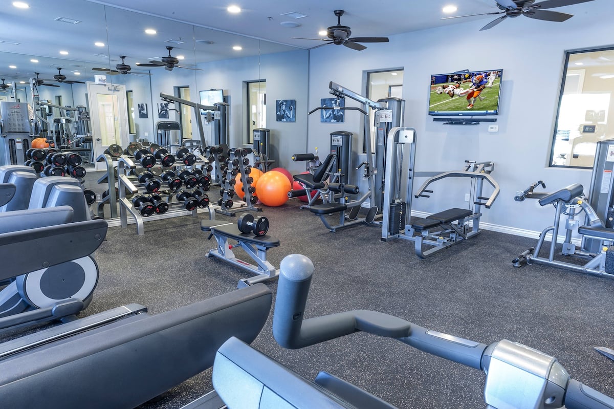 RGVtYW5kUGljdHVyZToxOTQzMTAyNDk0