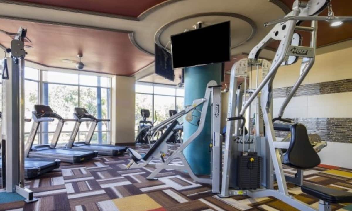 RGVtYW5kUGljdHVyZToxOTQzMTY5MjI5