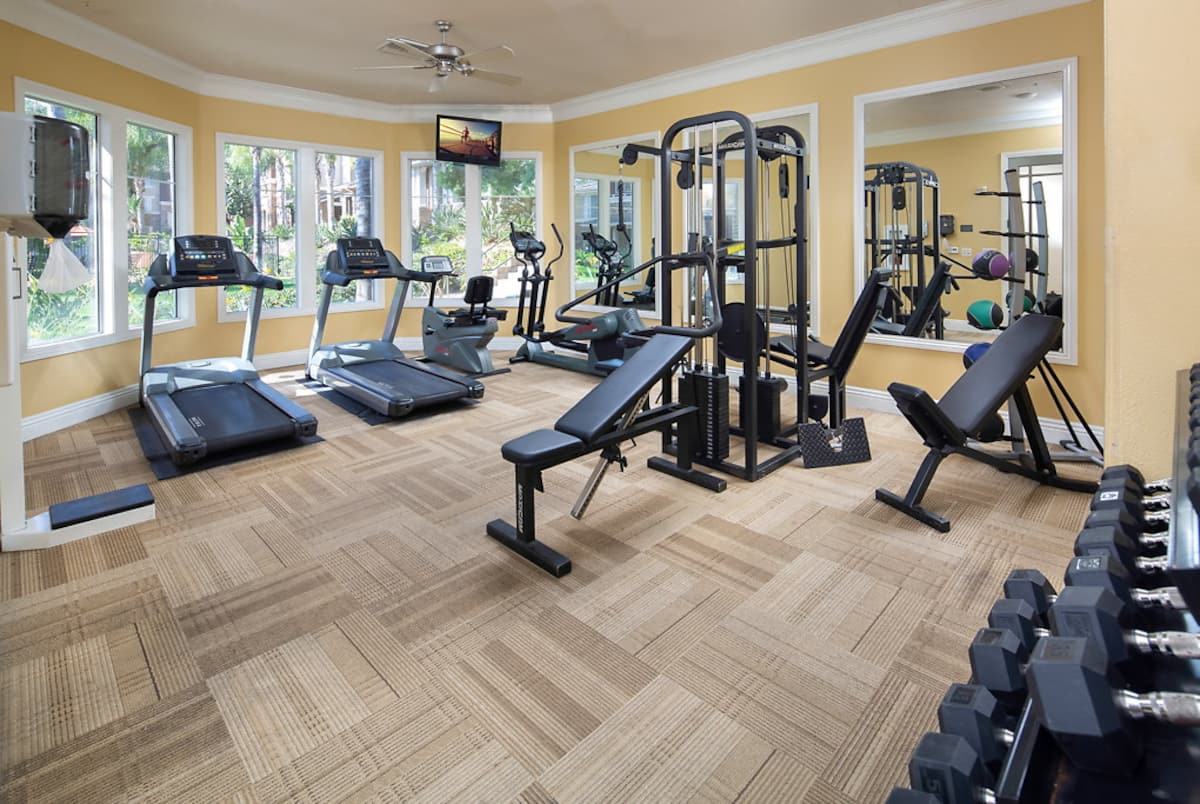 RGVtYW5kUGljdHVyZToxOTQzMTU2OTQx