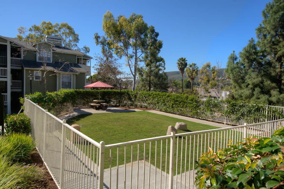 RGVtYW5kUGljdHVyZToxOTQzMTU0MTM0